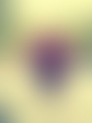 1461246034 artist 5324039 1461245977