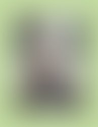 Lumii 20240130 231830307