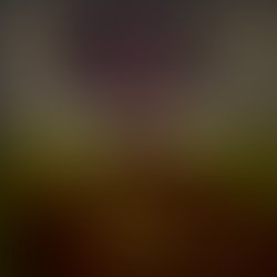 Photo 20editor 20180626 235335