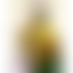 1461578292 img 20160322 wa0073