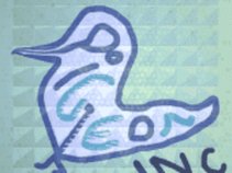 Pigeon Inc.