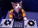 PROSOUND AND DJ SERVICES