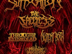 洋楽 Through the Eyes of the Dead Through The Eyes Of The Dead - Disomus - Amazon.com Music