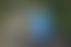 15350686 229644630781048 2768351652105428415 n