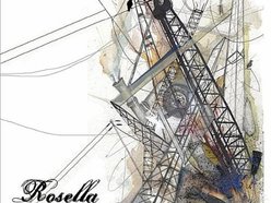 Image for Rosella