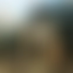 Artist 5337554 1491076593