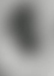 1462207922 artist 5338955 1462207887