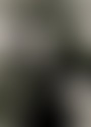 Website home photo shoots 1545 1293038660