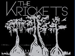 The Krickets