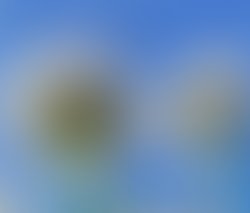 To be wonderful almost a lifetime cd front