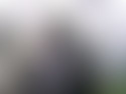 Mike lambeth   3 with titile ravenman album