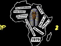 A.M.B. (African Man Born)