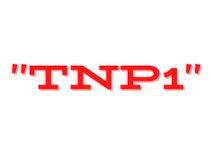 TOPNOTCH PRODUCTIONS