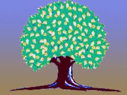 Image for BIG TREES