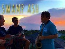 Swamp Ash Trio