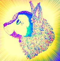 Djcataractslogo3
