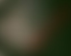 Artist 5383600 1538104575