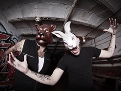 Image for The Bunny The Bear