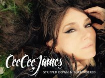 Cee Cee James & THE MISSION OF S.O.U.L.