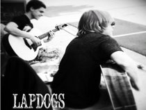 Lapdogs