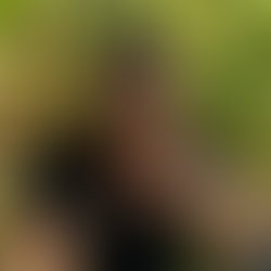 Fb img 1718660750104