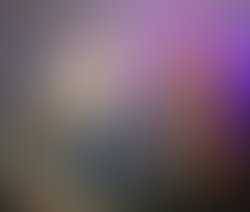 Stp at the jungle close up