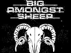 Big Amongst Sheep