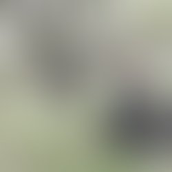 872578f63a0524a6985b0e8b2be254d718915ecc