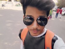 VisHaLVsX