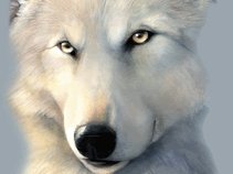 Habbit Forming Music inc1