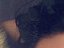 Che'Nelle