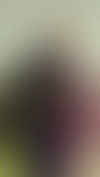 Screenshot 20180503 091759