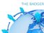 The Badger DeMise