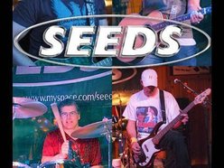 Image for seeds