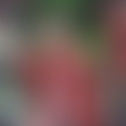 Img 20181215 130434 748