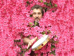 Image for Cyro Baptista