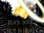 BLACK DOVE