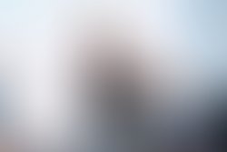 Fb img 1555868479396