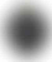 Omni speakers 1255920402