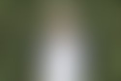 Zac saber clearer promo1