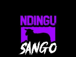 MANUSCRIPT THE  AUTHOR