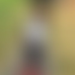 Artist 5456200 1470603932