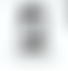 Capture 2017 08 29 09 26 49