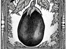 Eggplant