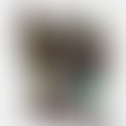 Img 20170417 122122 597