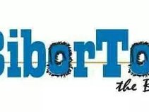 Biborton The Band