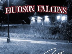 Image for Hudson Falcons