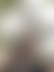 1034b797 55b7 4e22 aae1 78043c085598