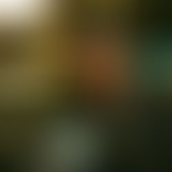 Img 20190620 234527 570