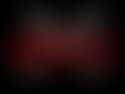 13415494 1573588812940914 1479929304856346 o